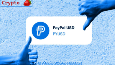 الاعتماد المبكر يواجه تحديات PYUSD لـ PayPal.